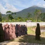 Tingkat Ulya